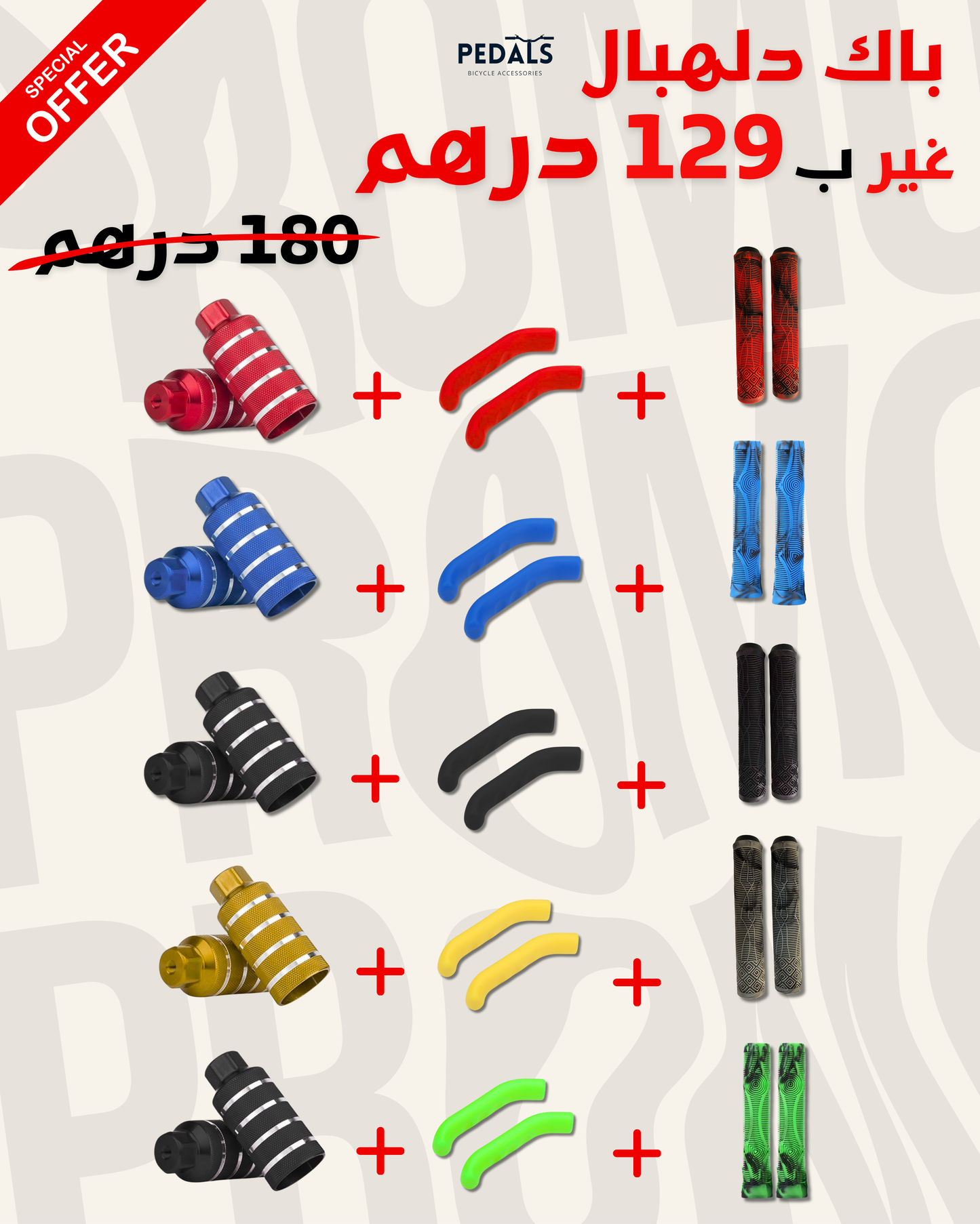 Repose-pied + Protège-frein + Poignées