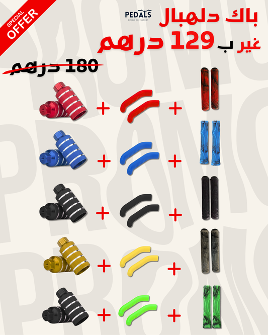 Repose-pied + Protège-frein + Poignées